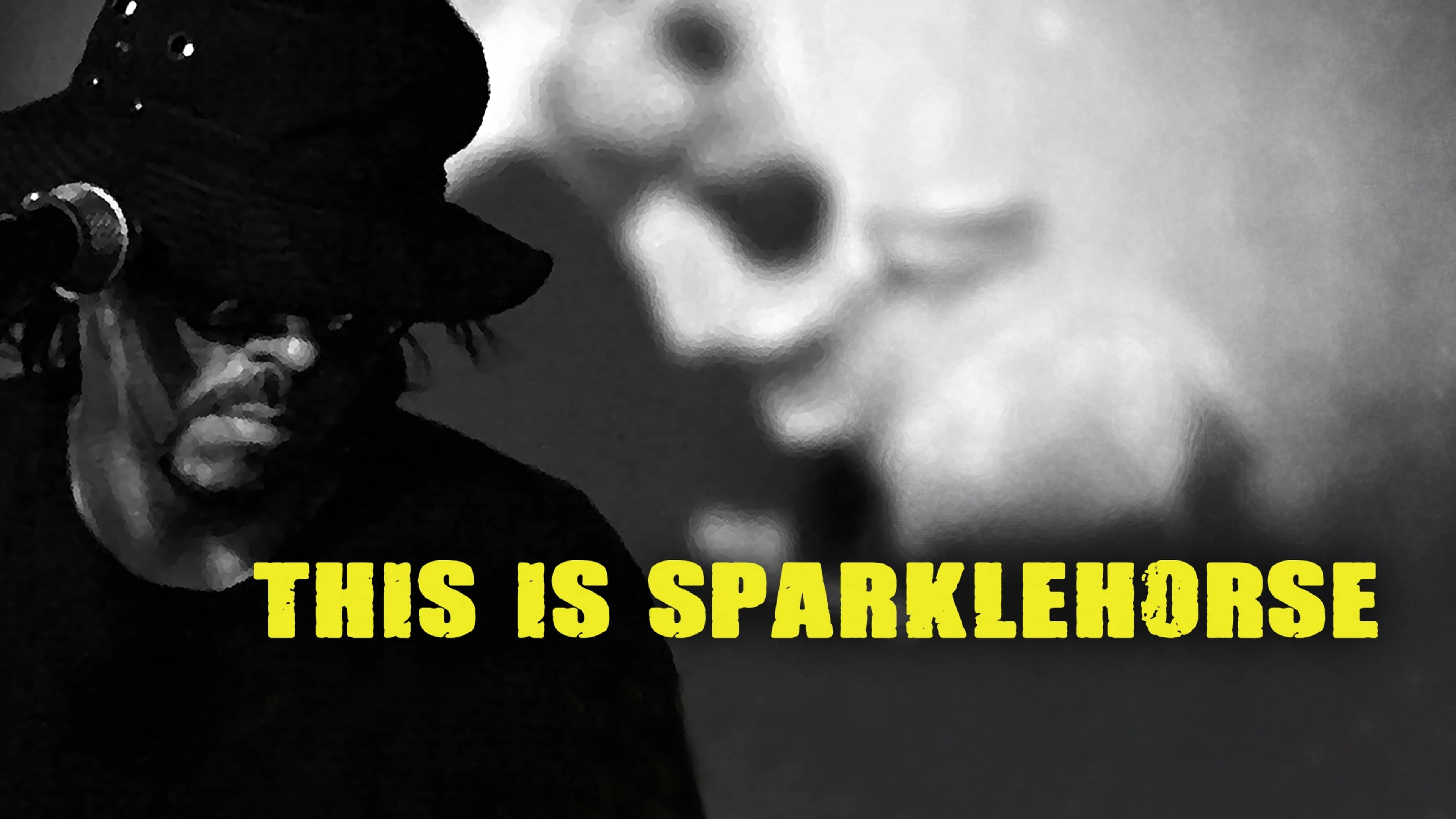 Tia Sáng Tuyệt Đẹp - This Is Sparklehorse
